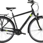 Carver Cityzen 120 – 28 inch – Diamond – 2024