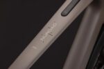 Cube Nuroad C:62 Pro FE cedar'n'stone 2027 – Image 3