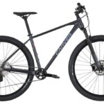 Carver Strict 170 – 29 inch – Diamond – 2024
