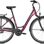 Raleigh Chester 7 – 71 cm – Instapmodel – Speciale aanbieding