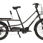 Crème Happy Wagon – 504 pk – 24 inch – Longtail – 2023