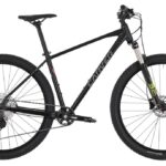 Carver Strict 150 – 29 inch – Diamond – 2023