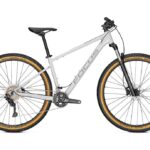 Focus Whistler 3.8 – 29 inch – Diamond – Speciale aanbieding