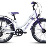 S’cool chiX twin 20 3-speed – 20 inch – Lage instap – 2025
