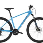 Carver Strict 110W – 29 inch – Diamond – 2024