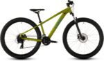 Cube Acid 260 Disc lizard'n'blue 2027