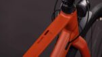 Cube Nulane Race FE amber'n'black 2026 – Image 2