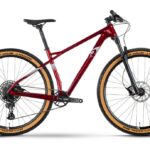 Raymon HardRay 7.0 – 29 inch – Diamant – 2024