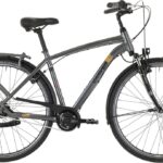 Carver Cityzen 140 LTD RT – 28 inch – Diamond – 2024