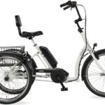 Pfau-Tec Combo – 500 Wh – 24 inch – Driewieler – 2023