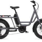 Benno Bikes RemiDemi 9D XL – 545 Wh – 20 inch – Longtail – 2024