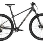 Carver Strict 170 – 29 inch – Diamond – 2025