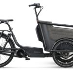 Batavus Fier-3 Env – 500 Wh – 20 inch – Driewieler – 2023