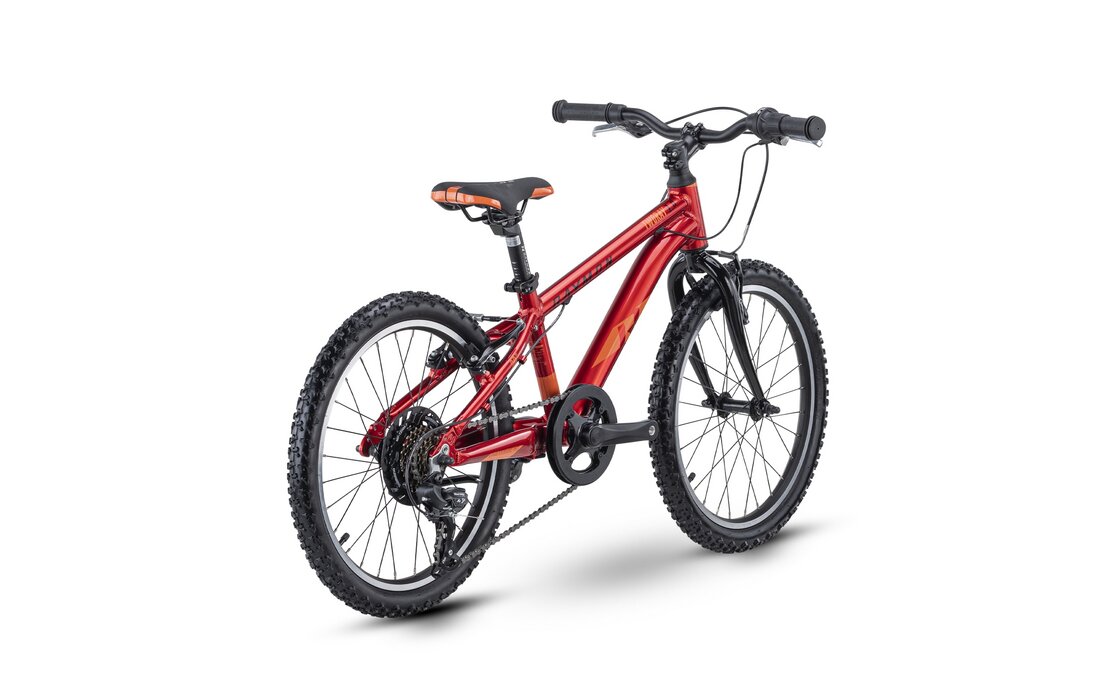 Raymon TwoRay 1.0 – 20 inch – Diamond – 2024