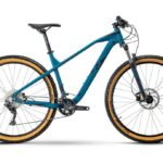 Raymon HardRay Nine 4.0 – 29 inch – Diamant – 2024