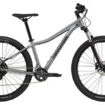 Cannondale Trail 5 – 29 inch – Diamond – 2024