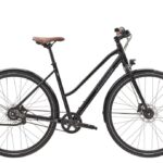 Diamant 247 – 71 cm – Damessport – 2025