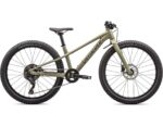 Specialized RIPROCK 24 INT METSPR/DKMOS