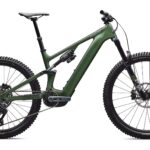 Specialized Levo 4 Expert Carbon CYPRESS METALLIC/SILVER DUST
