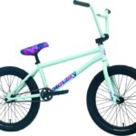 Zondagse weersvoorspeller Ross – Freecoaster RHD – 20 inch – BMX – actie