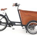 Babboe Carve Mountain – 500 Wh – 26 inch – Driewieler – 2024