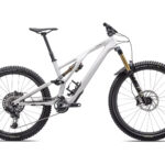 Specialized Stumpjumper Evo Pro Dune White/Taupe