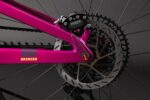 Santa Cruz Bronson 5 C R MX Kalimotxo – Image 5