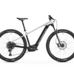 Mondraker Prime 29 Zilver/Zwart