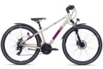 CONE R260 K21 ND FG Allroad Disc Zand/Donkerrood
