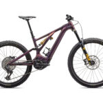 Specialized Levo Alloy Öhlins Coil LTD Chameleon