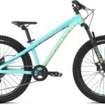 Dartmoor Hornet Junior 24"