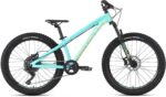 Dartmoor Hornet Junior 24"