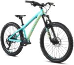 Dartmoor Hornet Junior 24" – Image 2