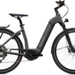 Flyer Gotour6 3.10 Antraciet Glanzend Wave 625 Wh
