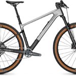 Focus Raven 8.9 Zilver / Carbon onbewerkt