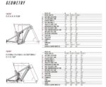 Focus Thron SQUARED 6.8 EQP Goudbruin – Image 3