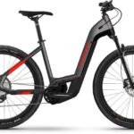 Haibike Trekking Cross 9 Lowstep