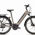 Kalkhoff Entice 3.B Move maansteengrijs mat Wave 500 Wh