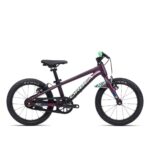 Orbea MX 16 Paars - Mint 16