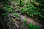 Santa Cruz Hightower 3 | C | S | Matte groenblijvend – Image 7
