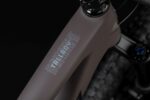 Santa Cruz Tallboy CC | X01 | taupe – Image 5