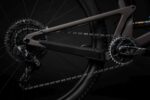 Santa Cruz Tallboy CC | X01 | taupe – Image 6