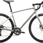 Specialized Diverge E5 Birch/White Mountains