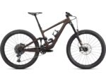 Specialized Enduro Expert Doppio/Zand
