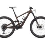 Specialized Enduro Expert Doppio/Zand